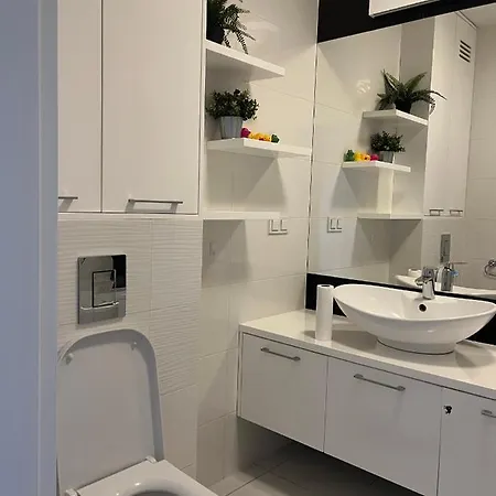 Airport Cybernetyki2