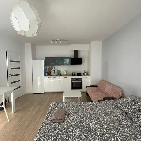 Airport Cybernetyki2